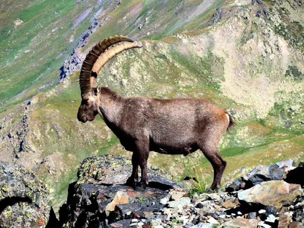 Camping-Caravaneige l'Iscle de Prelles 3 Stars★★★