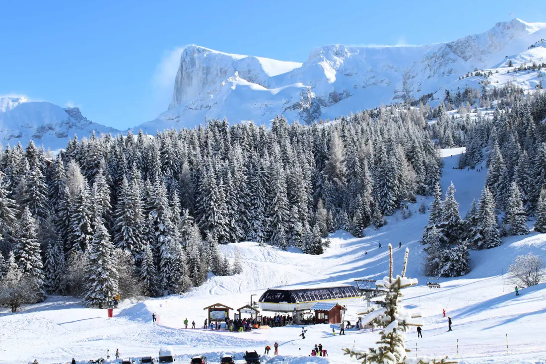 Chalets De Superd Helianthema