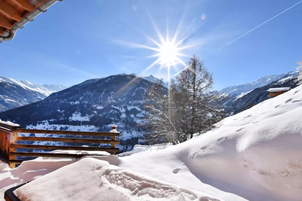 Domek Górska Gwiazda