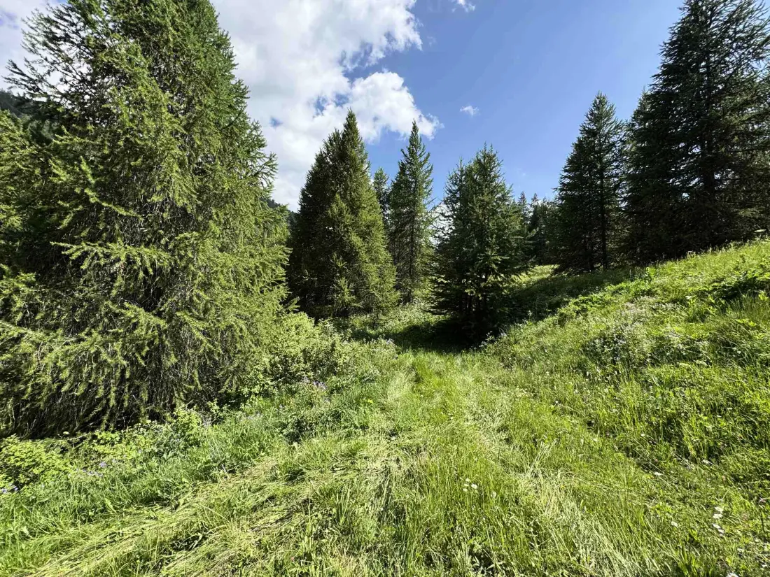 Chalet Le Regain