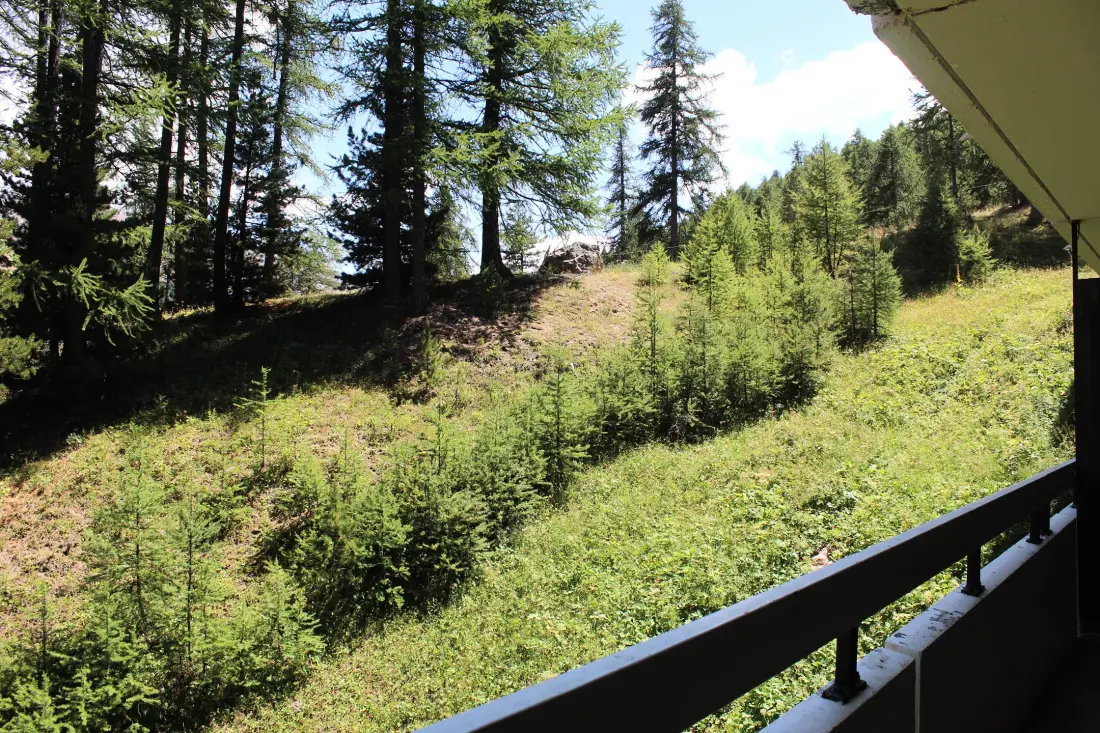 Skovbolig