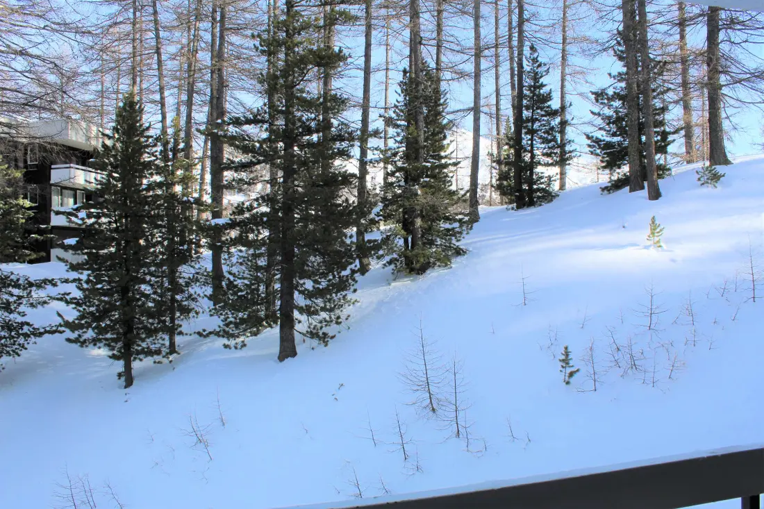 Skovbolig