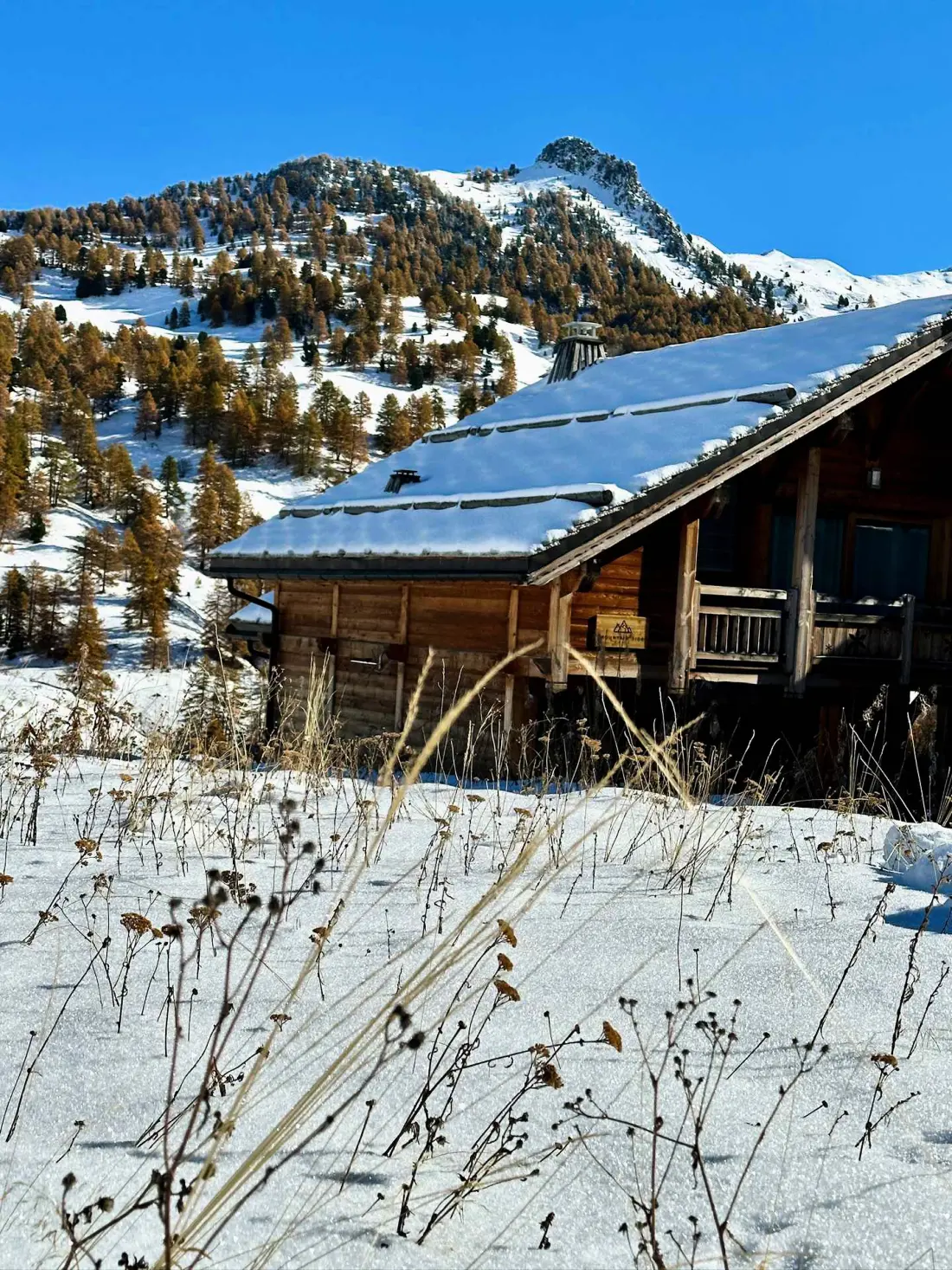 Chalet Mountainside